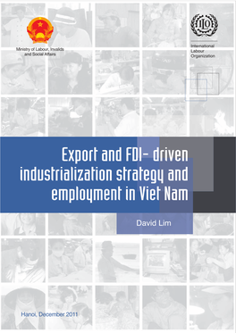 Export and FDI-Driven Industrialization STRATEGY and EMPLOYMENT in VIET NAM