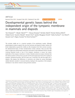 Developmental Genetic Bases Behind the Independent Origin of the Tympanic Membrane in Mammals and Diapsids