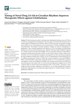 Timing of Novel Drug 1A-116 to Circadian Rhythms Improves Therapeutic Effects Against Glioblastoma