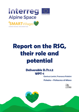 Report on the RSG, Their Role and Potential