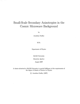 Small-Scale Secondary Anisotropics in the Cosmic Microwave Background