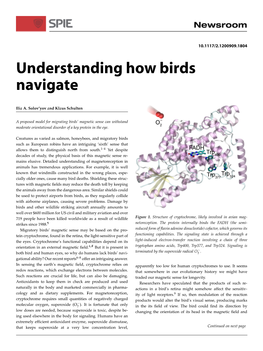 Understanding How Birds Navigate
