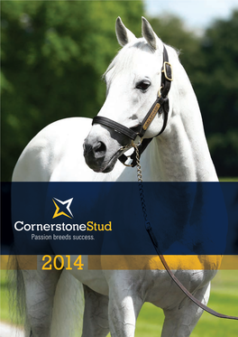 International Sire of G1 Winners HAPPY TRAILS Was Yet Again the Flag Bearer for His Sire in 2013/14