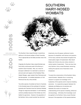 Southern Hairy-Nosed Wombats at the Adelaide Zoo Consists of Kangaroo Pellets, the Habitat of the Southern Hairy-Nosed Wombat Apple, Carrots, Lucerne and Fresh Grass