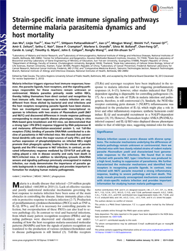 Strain-Specific Innate Immune Signaling Pathways Determine