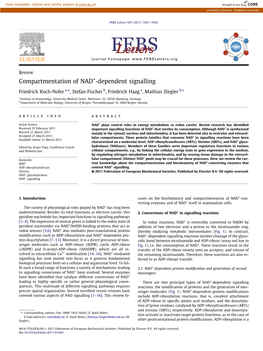 Compartmentation of NAD+-Dependent Signalling ⇑ ⇑ Friedrich Koch-Nolte A, , Stefan Fischer B, Friedrich Haag A, Mathias Ziegler B