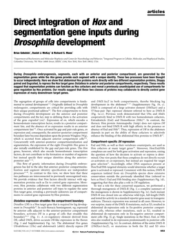 Direct Integration of Hox and Segmentation Gene Inputs During Drosophila Development