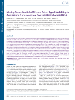 Mitochondrial DNA