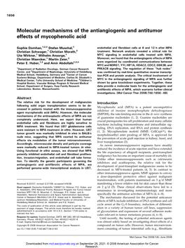 Molecular Mechanisms of the Antiangiogenic and Antitumor Effects of Mycophenolic Acid