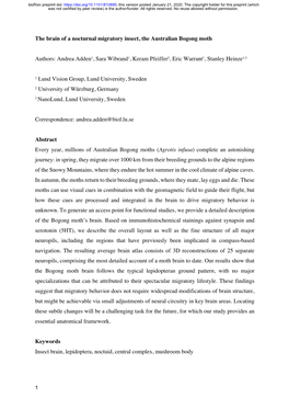 The Brain of a Nocturnal Migratory Insect, the Australian Bogong Moth
