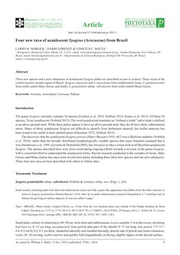 Four New Taxa of Acaulescent Syagrus (Arecaceae) from Brazil