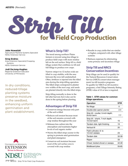 Strip Till for Field Crop Production