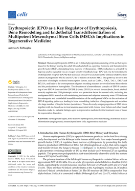 As a Key Regulator of Erythropoiesis, Bone Remodeling and Endothelial