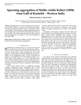 Spawning Aggregation of Melibe Viridis Kellart (1858) from Gulf of Kachchh – Western India