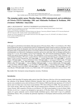 The Jumping Spider Genus Thiodina Simon, 1900 Reinterpreted, And