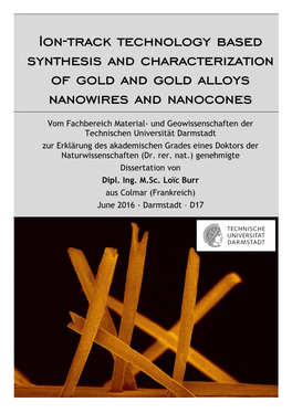 Ion-Track Technology Based Synthesis and Characterization of Gold and Gold Alloys Nanowires and Nanocones
