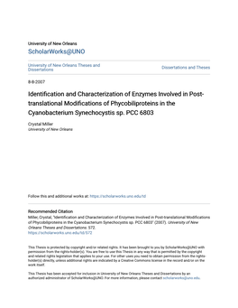 Identification and Characterization of Enzymes Involved in Post- Translational Modifications of Phycobiliproteins in the Cyanobacterium Synechocystis Sp