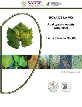 ROYA DE LA VID Phakopsora Euvitis Ono, 2000 Ficha Técnica No. 68