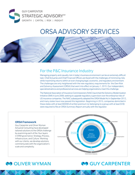 Orsa Advisory Services