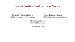 Social Position and Fairness Views