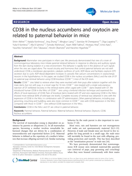 CD38 in the Nucleus Accumbens and Oxytocin Are Related to Paternal