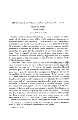 Mutations of Oenothera Suaveolens Desf