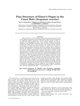 Fine Structure of Eimer's Organ in the Coast Mole (Scapanus Orarius)