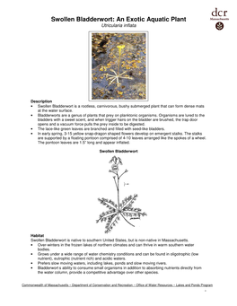 Swollen Bladderwort: an Exotic Aquatic Plant Utricularia Inflata