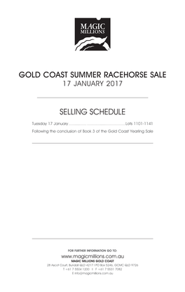 Gold Coast Summer Racehorse Sale Selling