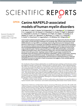 Canine NAPEPLD-Associated Models of Human Myelin Disorders K