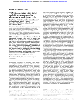 TEX15 Associates with MILI and Silences Transposable Elements in Male Germ Cells