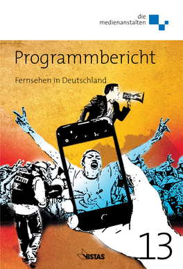 Programmbericht 2013