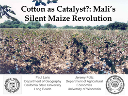 Cotton As Catalyst?: Mali's Silent Maize Revolution