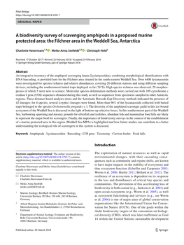 A Biodiversity Survey of Scavenging Amphipods in a Proposed Marine Protected Area: the Filchner Area in the Weddell Sea, Antarctica
