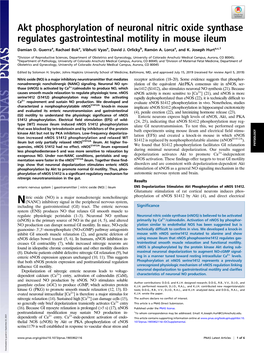 Akt Phosphorylation of Neuronal Nitric Oxide Synthase Regulates Gastrointestinal Motility in Mouse Ileum