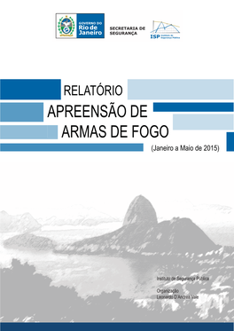 Relatório “Apreensão De Armas De Fogo (Janeiro a Maio