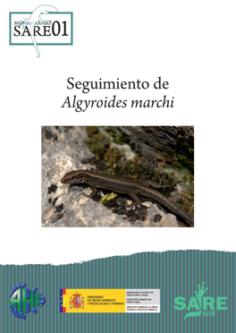 Monografía Nº 1. Seguimiento De Algyroides Marchi (Lagartija De