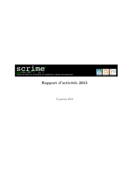 Rapport D'activités 2013