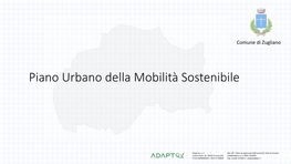 Piano Urbano Della Mobilità Sostenibile