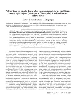 Ceraeochrysa Caligata (Neuroptera: Chrysopidae) E Redescrição Dos Instares Larvais