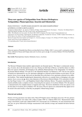 Orthoptera: Tettigoniidae; Phaneropterinae; Insarini and Odonturini)