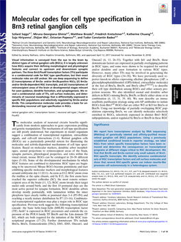 Molecular Codes for Cell Type Specification in Brn3 Retinal