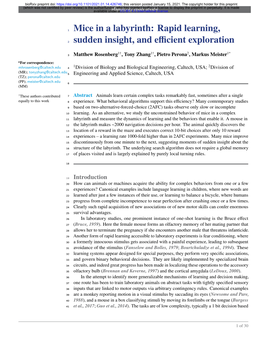 Mice in a Labyrinth: Rapid Learning, Sudden Insight, and Efficient Exploration