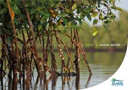 Mava Annual Report 2016