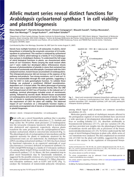 Allelic Mutant Series Reveal Distinct Functions for Arabidopsis Cycloartenol Synthase 1 in Cell Viability and Plastid Biogenesis