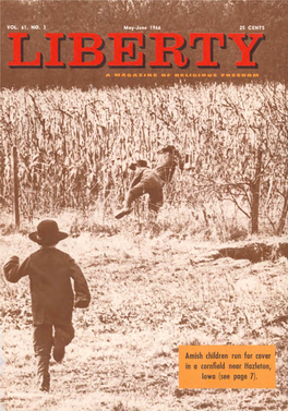 Amish Children Run for Cover #' 410Zilztb' R 1 in a Cornfield Near