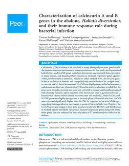 Characterization of Calcineurin a and B Genes in the Abalone, Haliotis Diversicolor, and Their Immune Response Role During Bacterial Infection