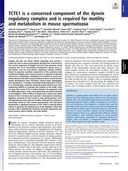 TCTE1 Is a Conserved Component of the Dynein Regulatory Complex and Is Required for Motility and Metabolism in Mouse Spermatozoa