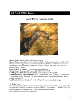 Candy Darter Recovery Outline