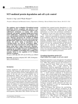 SCF-Mediated Protein Degradation and Cell Cycle Control